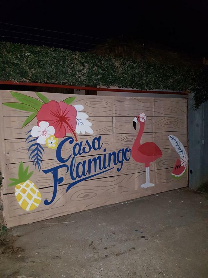 Vila Casa Flamingo Las Terrenas Exteriér fotografie