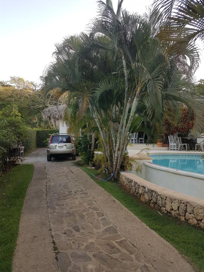 Vila Casa Flamingo Las Terrenas Exteriér fotografie