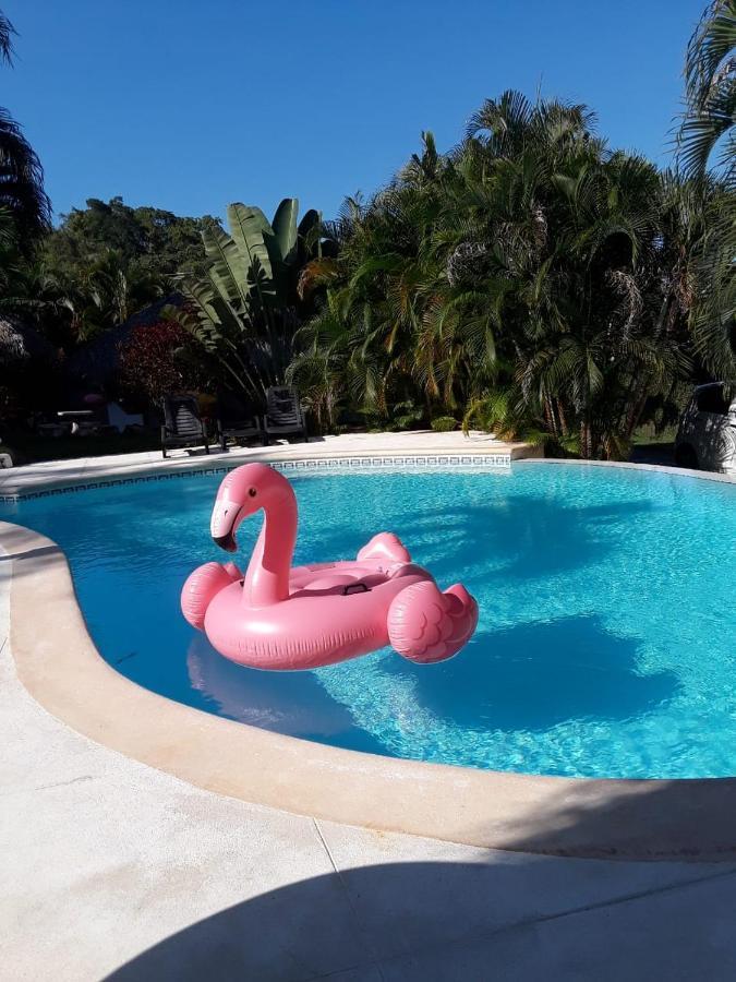Vila Casa Flamingo Las Terrenas Exteriér fotografie